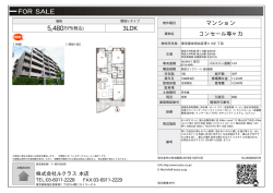 資料PDF - 株式会社ルクラス