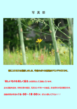 写 真 部