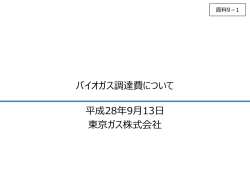 （東京ガス）（PDF形式：387KB）