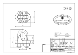 質量 ： 締付トルク : 0.04kg 4.5 N・m 適合ワイヤ径 : 6 mm 6 M6