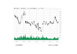 （出所：マネックス証券） 6981村田製作所