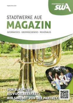 - Stadtwerke Aue GmbH