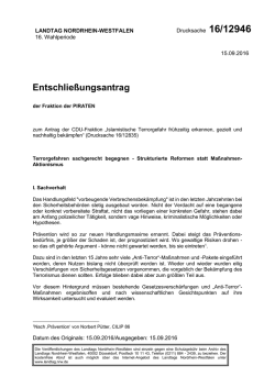 Drucksache 16/12946