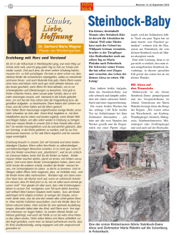 Grundlayout 32 - extra