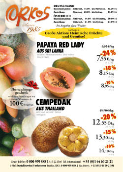 PDF-Version Euro