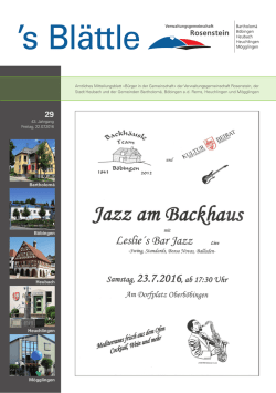 29 - Heubach