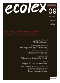 Piercing the Corporate Shield