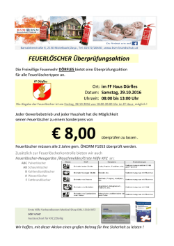 FEUERL&Ouml;SCHER &Uuml;berpr&uuml;fungsaktion
