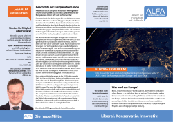 Unsere Broschüre Europa erneuern als PDF