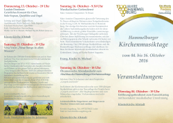 Flyer zum - 1300 Jahre Hammelburg