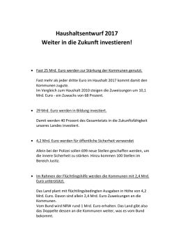 Investitionsschwerpunkte 2017 - FINANZVERWALTUNG