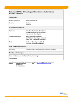 Diplomand SAP for Utilities Support