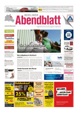 dienetzwerkknüpfer - Berliner Abendblatt