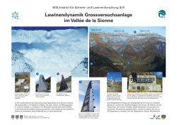 Lawinendynamik Grossversuchsanlage im Vallée de la Sionne