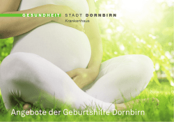 Info-Folder Angeboter der Geburtshilfe