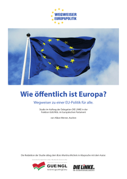 Studie - Wegweiser Europapolitik