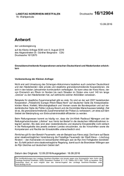 Drucksache 16/12904