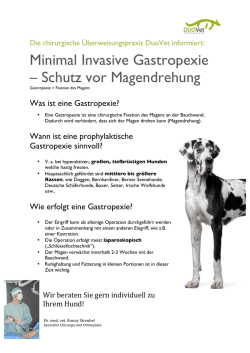 Gastropexie bei grossen Hunden