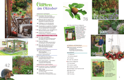 im Oktober - Mein sch&ouml;ner Garten