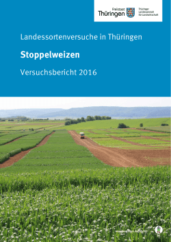 Stoppelweizen - Thüringer Landesanstalt für Landwirtschaft
