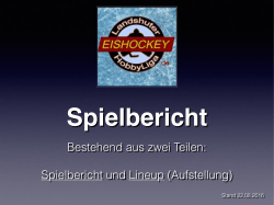 Handout Spielbericht LEHL - Landshuter Eishockey Hobbyliga