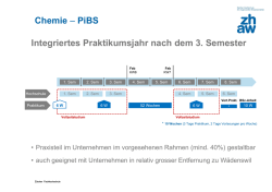 Integriertes Praktikumsjahr nach dem 3. Semester