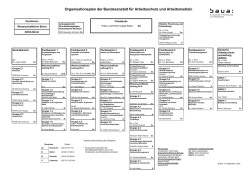 Organisationsplan der BAuA