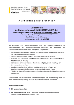 Diplommodul Behindertenarbeit