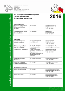 Brückenangebote, Möglichkeiten für das 10. Schuljahr