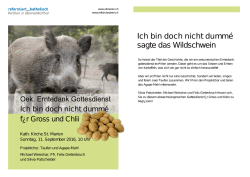 Ich bin doch nicht dumm&hellip; sagte das Wildschwein