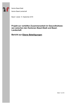 Bericht zur Ebene Beteiligungen - Kanton Basel