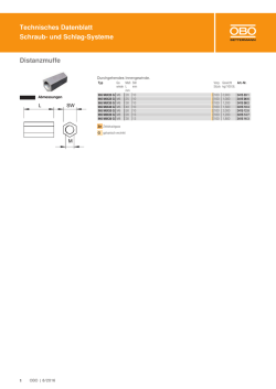 Technisches Datenblatt Schraub- und Schlag