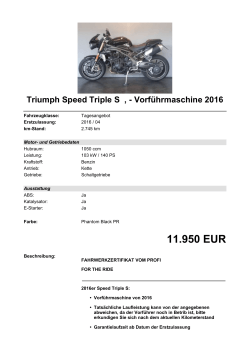 Detailansicht Triumph Speed Triple S
