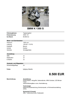 Detailansicht BMW K 1300 S