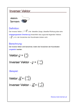 Inverser Vektor