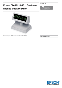 EpsonDM-D110-101: Customer display unit DM-D110