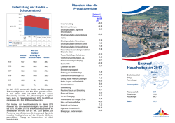 Haushaltsplanentwurf 2017 (Faltblatt