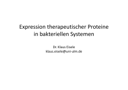 Expression therapeutischer Proteine in bakteriellen Systemen