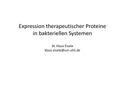 Expression therapeutischer Proteine in bakteriellen Systemen