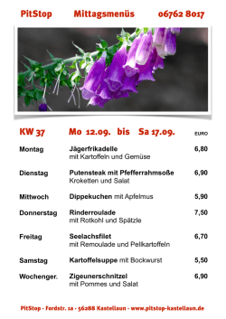 Downloadlink - PitStop Kastellaun