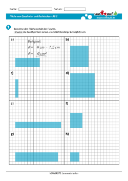 DOWNLOAD - als PDF Datei