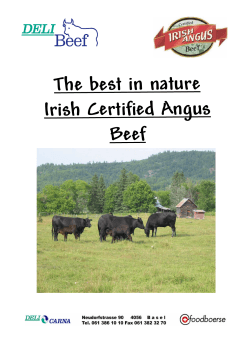 The best in nature Irish Certified Angus Beef
