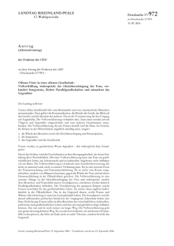 Drucksache 17/972, PDF