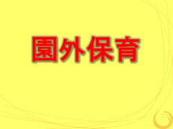 説明資料（1）大路幼稚園の紹介＜後編