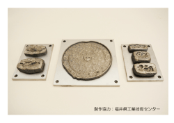 製作協力：福井県工業技術センター