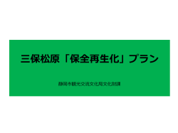 三保松原保全再生化プラン