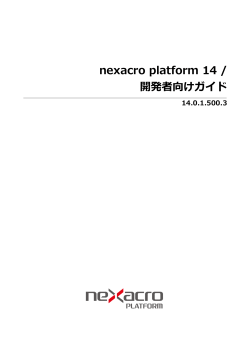 nexacro platform 14 / 開発者向けガイド