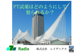 凝固勉強会の資料8p &rarr;Radix156 917KB