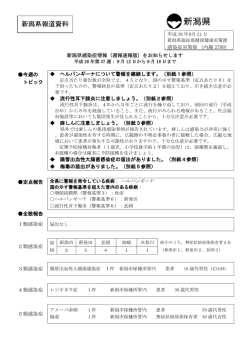 別紙2 流行性耳下腺炎に注意しましょう（PDF形式 173