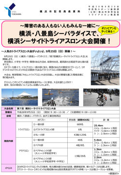 記者発表資料（PDF形式 891KB）